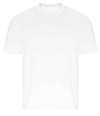 EA006 Ecologie Arrow Recycled Heavy Oversize T-Shirt White colour image